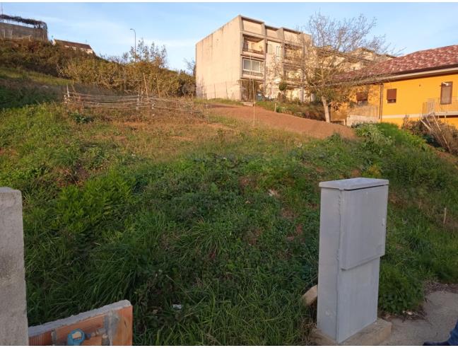 Anteprima foto 7 - Terreno Edificabile Residenziale in Vendita a Filadelfia (Vibo Valentia)