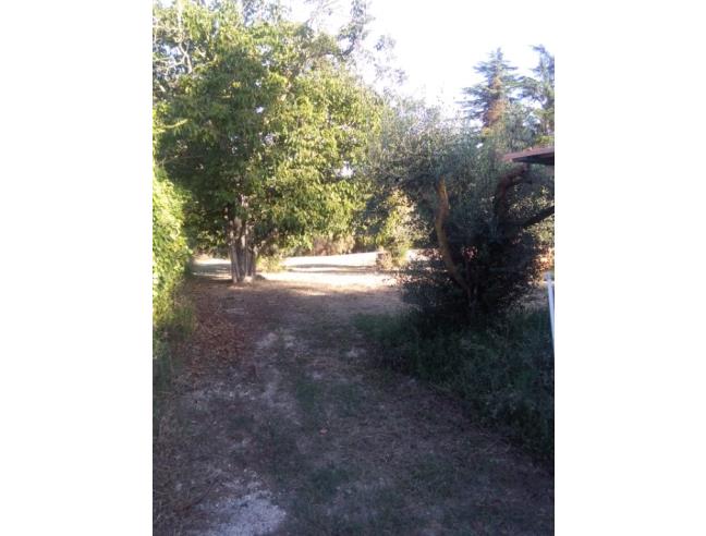 Anteprima foto 2 - Terreno Edificabile Residenziale in Vendita a Fiumicino - Casale Dell'aranova