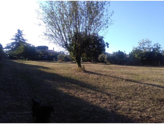 Anteprima foto 4 - Terreno Edificabile Residenziale in Vendita a Fiumicino - Casale Dell'aranova