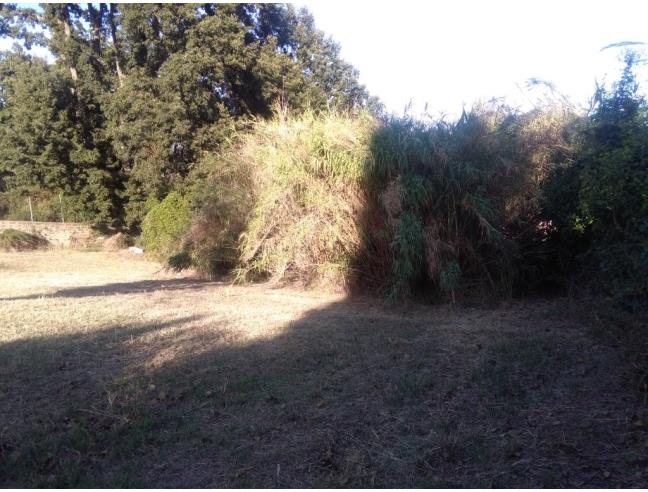 Anteprima foto 5 - Terreno Edificabile Residenziale in Vendita a Fiumicino - Casale Dell'aranova