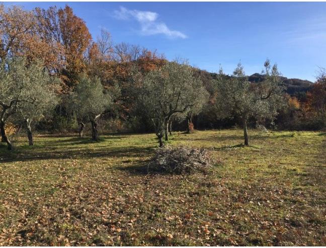 Anteprima foto 3 - Terreno Edificabile Residenziale in Vendita a Fontana Liri (Frosinone)