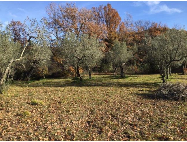 Anteprima foto 6 - Terreno Edificabile Residenziale in Vendita a Fontana Liri (Frosinone)