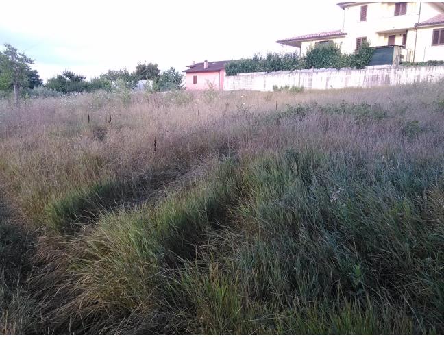 Anteprima foto 2 - Terreno Edificabile Residenziale in Vendita a Giano dell'Umbria - Bastardo