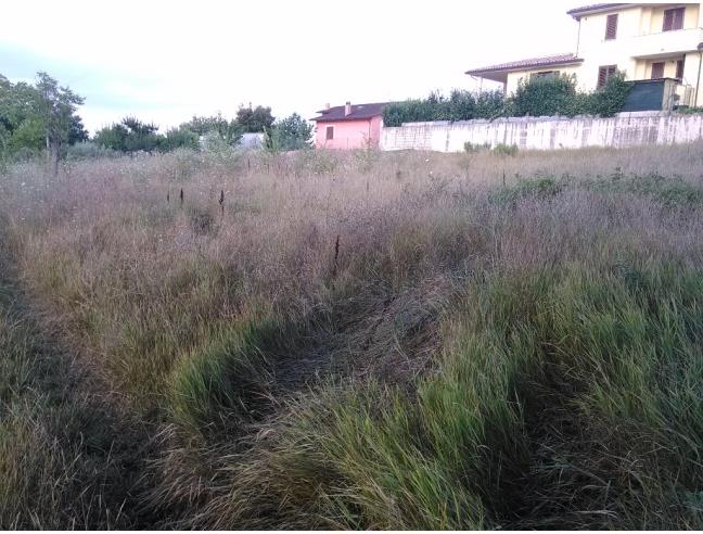 Anteprima foto 3 - Terreno Edificabile Residenziale in Vendita a Giano dell'Umbria - Bastardo