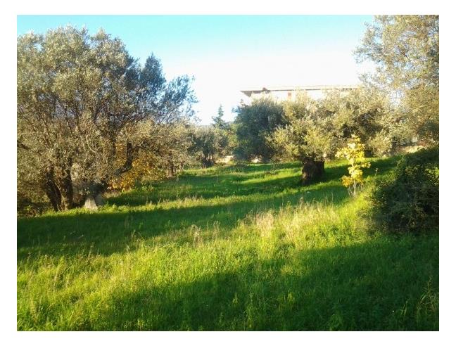 Anteprima foto 2 - Terreno Edificabile Residenziale in Vendita a Gioiosa Ionica (Reggio Calabria)