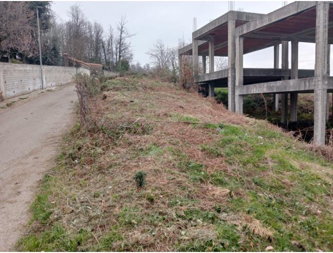 Anteprima foto 2 - Terreno Edificabile Residenziale in Vendita a Lariano (Roma)
