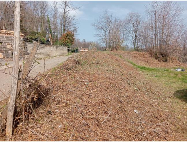 Anteprima foto 3 - Terreno Edificabile Residenziale in Vendita a Lariano (Roma)