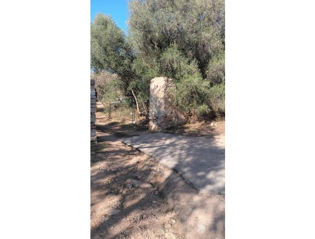 Anteprima foto 1 - Terreno Edificabile Residenziale in Vendita a Loiri Porto San Paolo - Loiri
