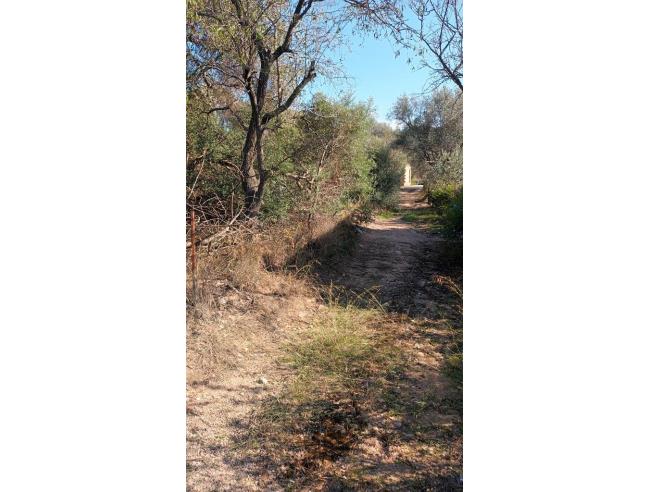 Anteprima foto 4 - Terreno Edificabile Residenziale in Vendita a Loiri Porto San Paolo - Loiri