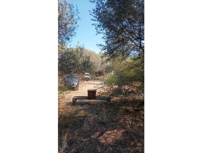 Anteprima foto 5 - Terreno Edificabile Residenziale in Vendita a Loiri Porto San Paolo - Loiri