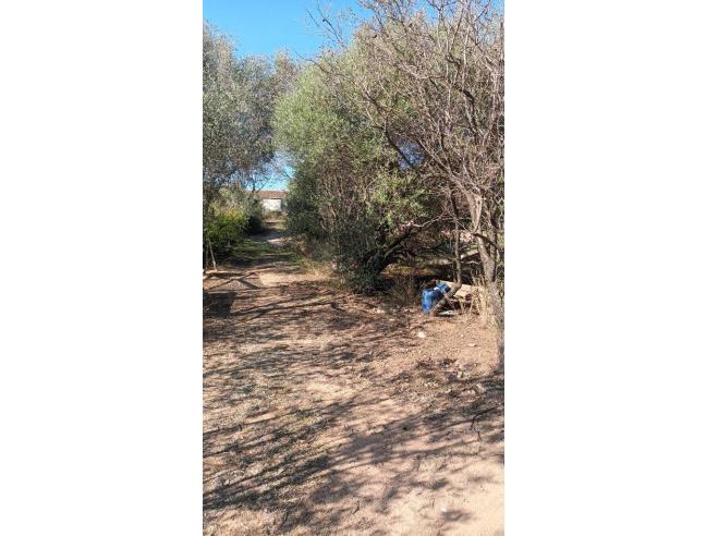 Anteprima foto 6 - Terreno Edificabile Residenziale in Vendita a Loiri Porto San Paolo - Loiri