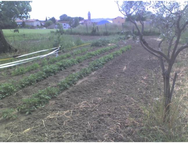 Anteprima foto 2 - Terreno Edificabile Residenziale in Vendita a Loreto - Musone