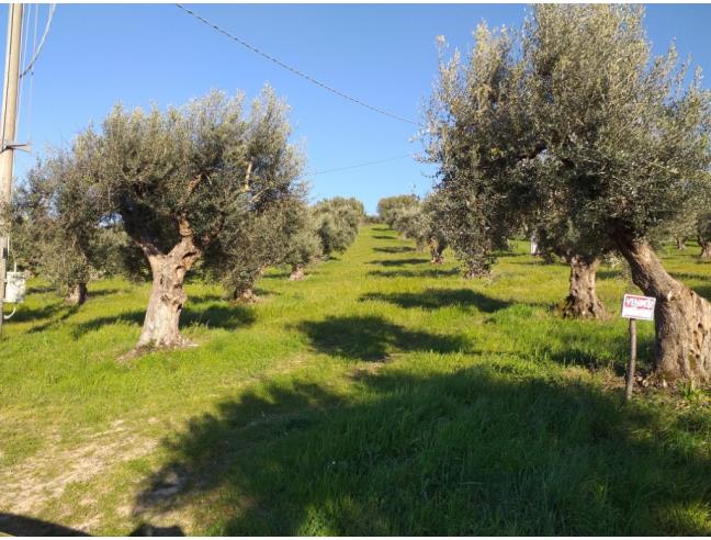 Anteprima foto 1 - Terreno Edificabile Residenziale in Vendita a Luzzi (Cosenza)