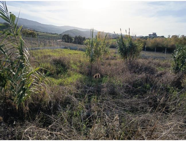 Anteprima foto 6 - Terreno Edificabile Residenziale in Vendita a Luzzi (Cosenza)