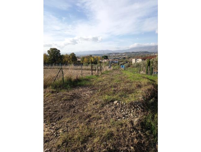 Anteprima foto 7 - Terreno Edificabile Residenziale in Vendita a Luzzi (Cosenza)