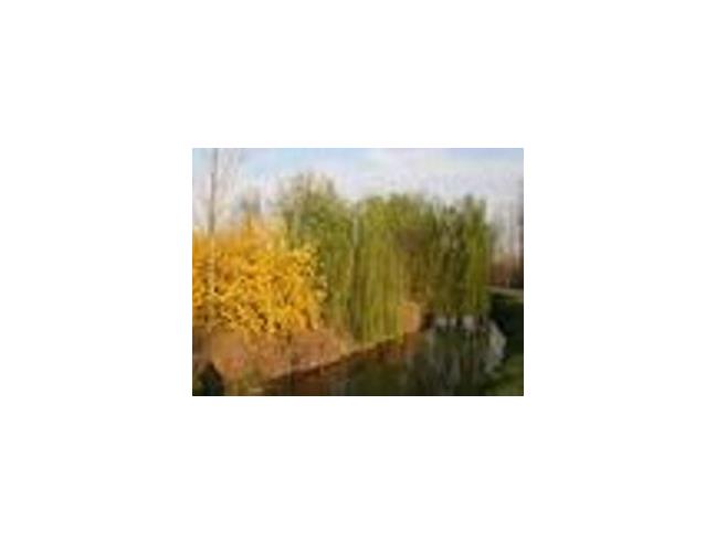 Anteprima foto 4 - Terreno Edificabile Residenziale in Vendita a Mantova (Mantova)