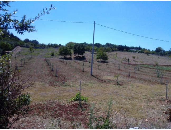 Anteprima foto 2 - Terreno Edificabile Residenziale in Vendita a Martina Franca (Taranto)