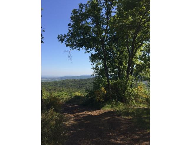 Anteprima foto 2 - Terreno Edificabile Residenziale in Vendita a Massa Marittima - Ghirlanda