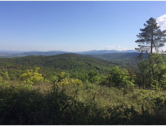 Anteprima foto 5 - Terreno Edificabile Residenziale in Vendita a Massa Marittima - Ghirlanda