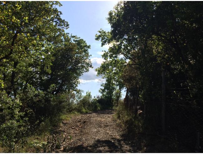 Anteprima foto 6 - Terreno Edificabile Residenziale in Vendita a Massa Marittima - Ghirlanda