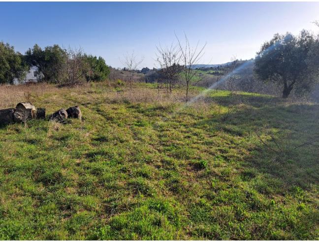 Anteprima foto 2 - Terreno Edificabile Residenziale in Vendita a Monte Giberto (Fermo)