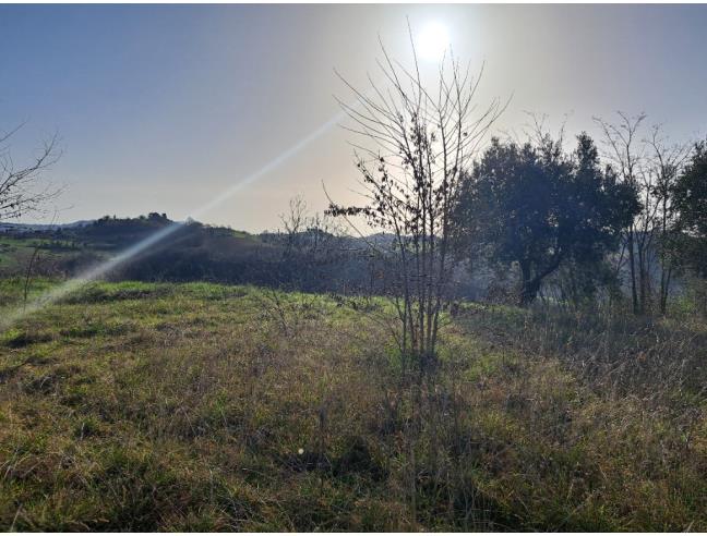 Anteprima foto 4 - Terreno Edificabile Residenziale in Vendita a Monte Giberto (Fermo)