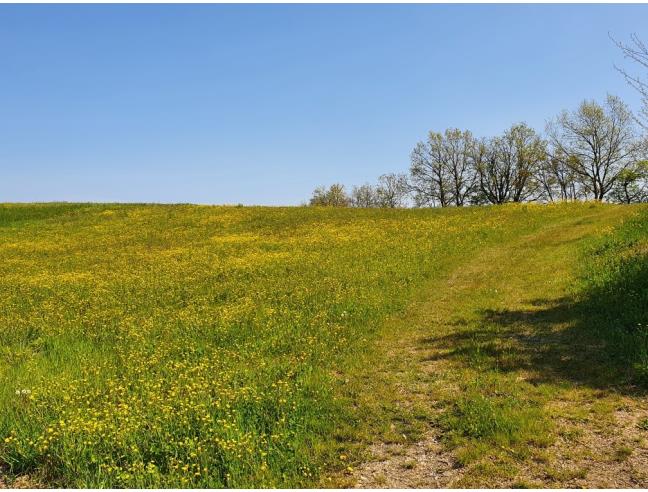 Anteprima foto 3 - Terreno Edificabile Residenziale in Vendita a Neviano degli Arduini - Corticone
