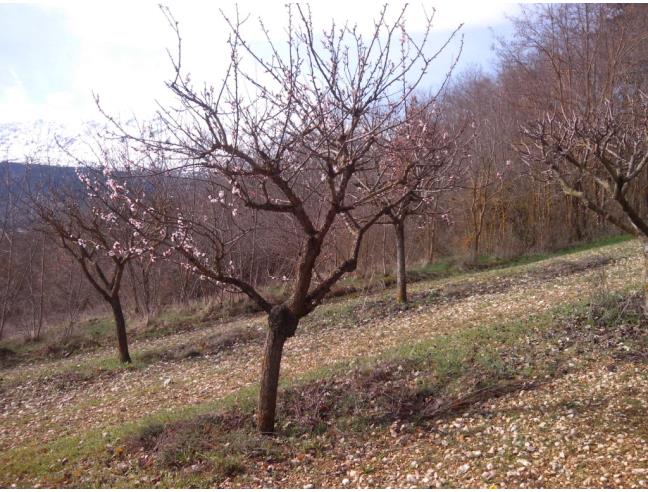 Anteprima foto 2 - Terreno Edificabile Residenziale in Vendita a Ocre - Cavalletto