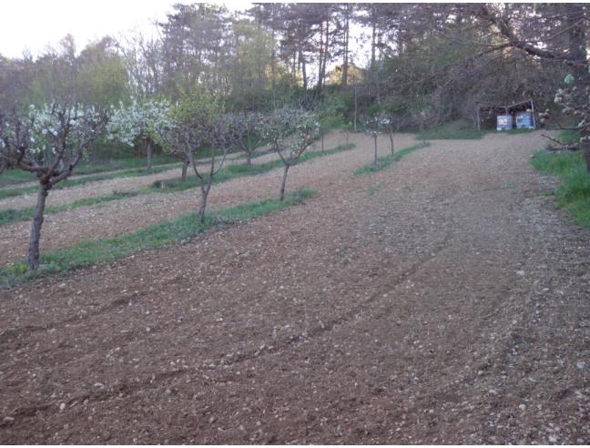Anteprima foto 3 - Terreno Edificabile Residenziale in Vendita a Ocre - Cavalletto