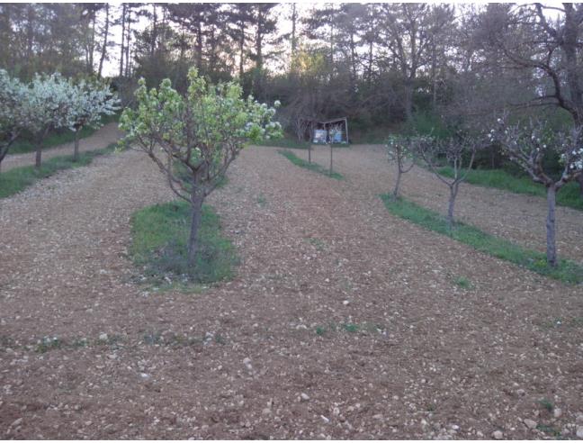 Anteprima foto 5 - Terreno Edificabile Residenziale in Vendita a Ocre - Cavalletto