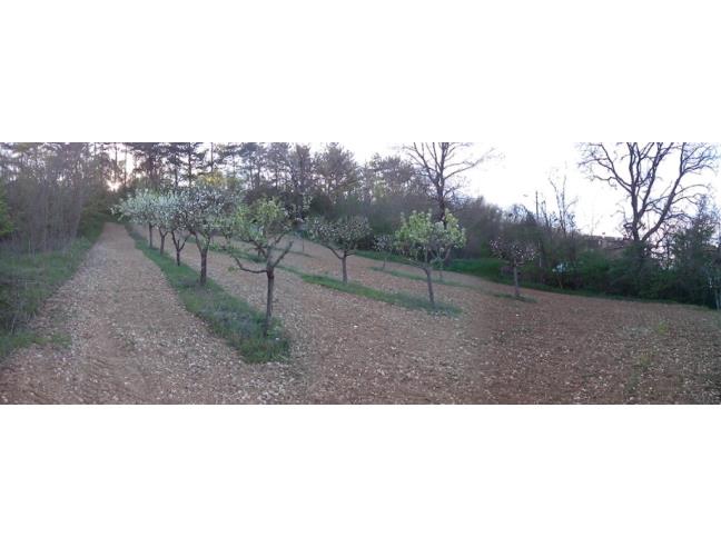 Anteprima foto 8 - Terreno Edificabile Residenziale in Vendita a Ocre - Cavalletto