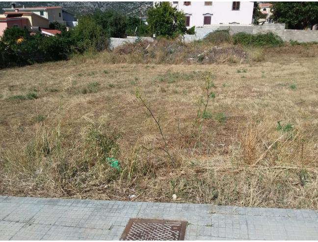 Anteprima foto 2 - Terreno Edificabile Residenziale in Vendita a Orosei (Nuoro)