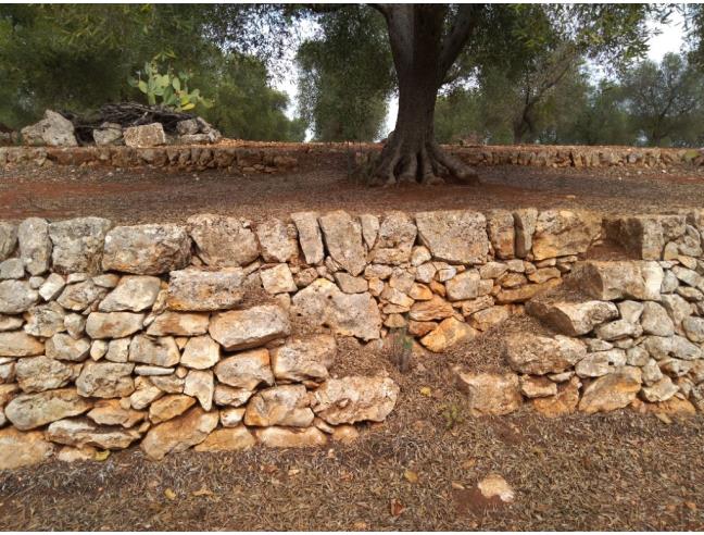 Anteprima foto 1 - Terreno Edificabile Residenziale in Vendita a Ostuni (Brindisi)