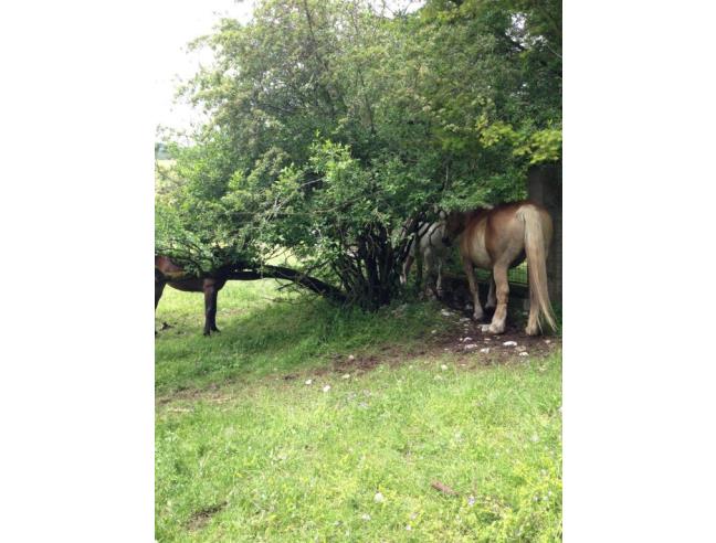 Anteprima foto 5 - Terreno Edificabile Residenziale in Vendita a Pescasseroli (L'Aquila)