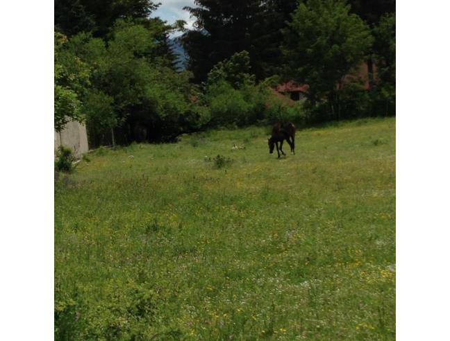 Anteprima foto 7 - Terreno Edificabile Residenziale in Vendita a Pescasseroli (L'Aquila)