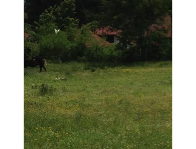 Anteprima foto 8 - Terreno Edificabile Residenziale in Vendita a Pescasseroli (L'Aquila)