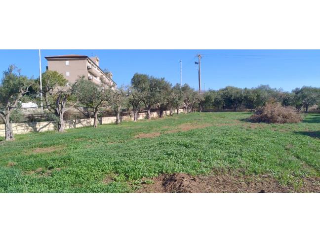 Anteprima foto 5 - Terreno Edificabile Residenziale in Vendita a Pozzallo (Ragusa)