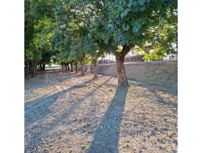 Anteprima foto 3 - Terreno Edificabile Residenziale in Vendita a Ravenna - Fosso Ghiaia