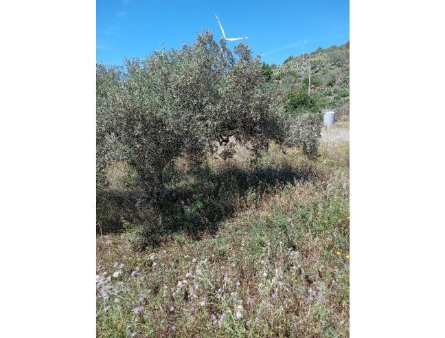 Anteprima foto 3 - Terreno Edificabile Residenziale in Vendita a Roccapalumba - Regalcioffoli