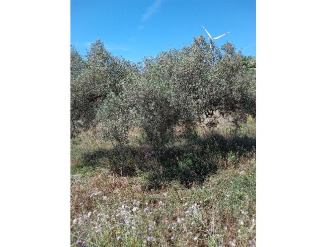 Anteprima foto 4 - Terreno Edificabile Residenziale in Vendita a Roccapalumba - Regalcioffoli