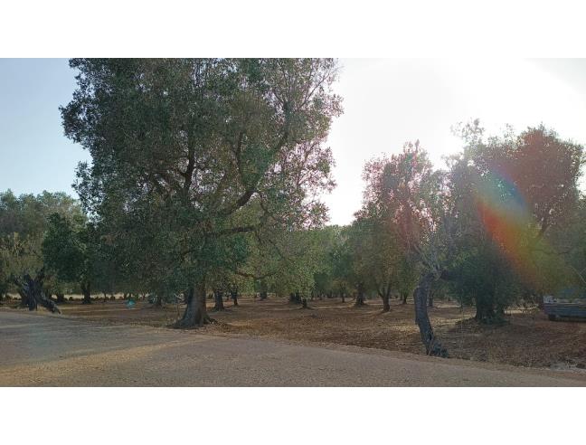 Anteprima foto 2 - Terreno Edificabile Residenziale in Vendita a San Michele Salentino (Brindisi)