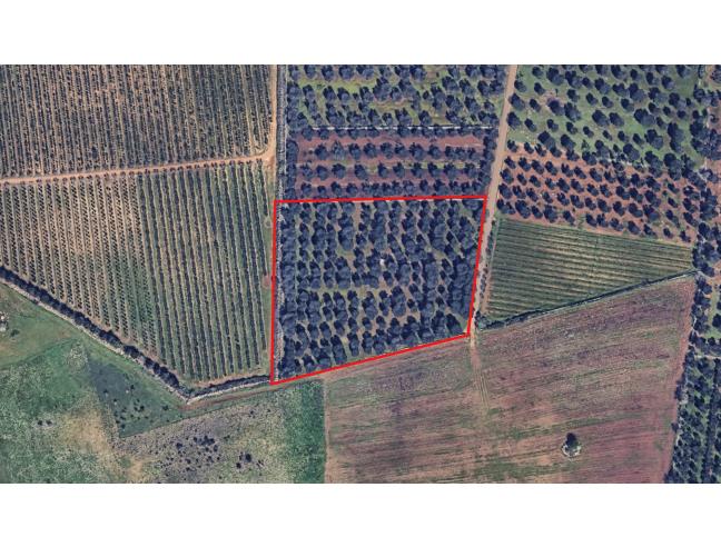 Anteprima foto 3 - Terreno Edificabile Residenziale in Vendita a San Michele Salentino (Brindisi)