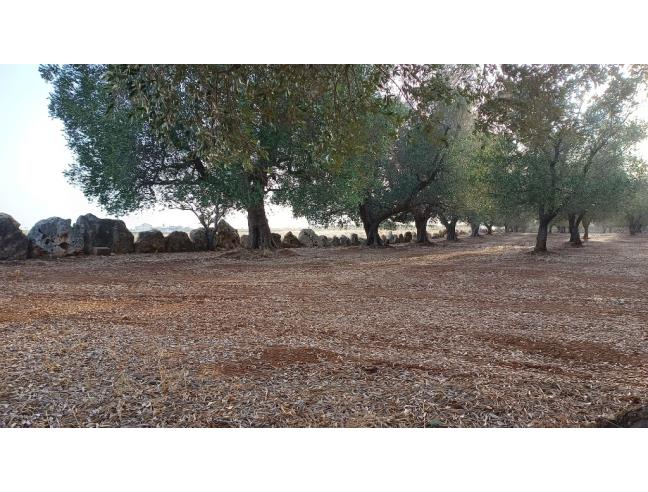 Anteprima foto 5 - Terreno Edificabile Residenziale in Vendita a San Michele Salentino (Brindisi)