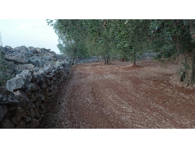 Anteprima foto 8 - Terreno Edificabile Residenziale in Vendita a San Michele Salentino (Brindisi)