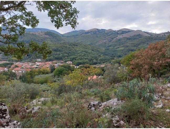 Anteprima foto 3 - Terreno Edificabile Residenziale in Vendita a Sant'Arsenio (Salerno)