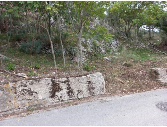 Anteprima foto 4 - Terreno Edificabile Residenziale in Vendita a Sant'Arsenio (Salerno)