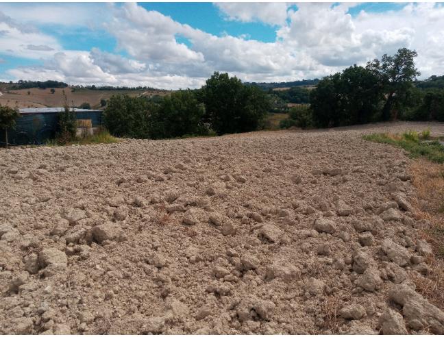 Anteprima foto 5 - Terreno Edificabile Residenziale in Vendita a Sant'Ippolito (Pesaro e Urbino)