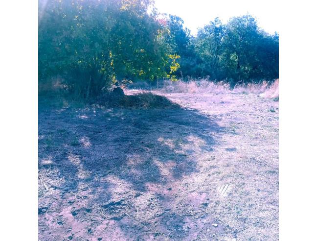 Anteprima foto 2 - Terreno Edificabile Residenziale in Vendita a Santa Maria di Licodia (Catania)