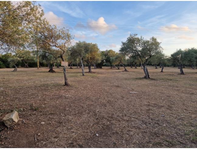 Anteprima foto 3 - Terreno Edificabile Residenziale in Vendita a Sassari - Ottava