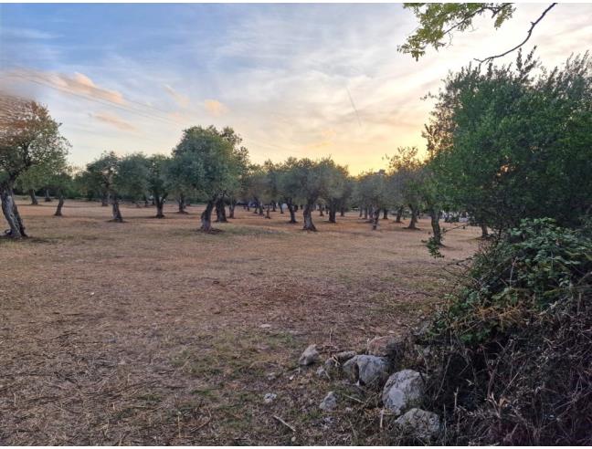 Anteprima foto 4 - Terreno Edificabile Residenziale in Vendita a Sassari - Ottava
